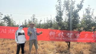 当AI量化遇上田间硕果：百域科技万斤梨子背后的温度