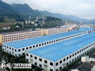 记者观察丨突破空间“困局”，白酒包材链式跃升