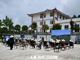 当福鼎工艺遇见贵州山韵 2000亩生态茶园成功转型