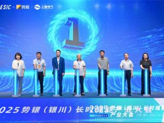 固态金属储氢实用化提速：新氢动力 20 公斤级系统重磅发布