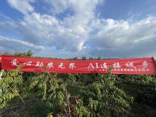 爱心助农无界 AI 连接城乡：湖北百域用科技架起甜蜜桥梁