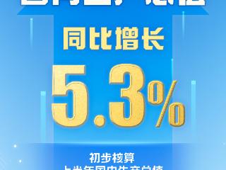 上半年国内生产总值660536亿元 同比增长5.3%