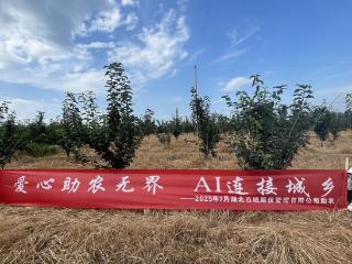 金秋梨香里的科技力量：百域助农记