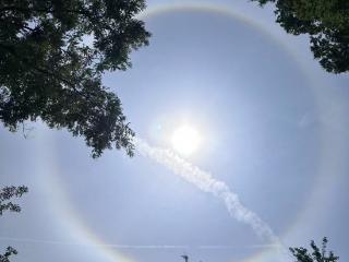 这届太阳太会整活 西安上空出现超大日晕