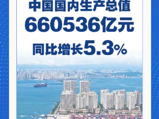 上半年中国经济同比增长5.3%