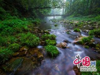 这个夏天去武陵源共赴沁透心脾的“清凉之约”