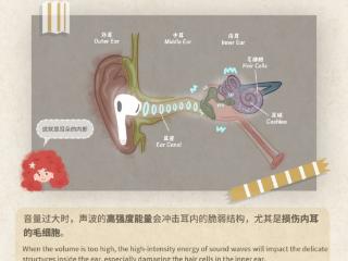 老人听力衰退戴助听器是刚需吗?内附町石、左点、未来客助听器多维度测评!