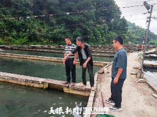 “天然冷泉+活水技术”双驱动｜贵州鲟鱼“游”出全国第一！