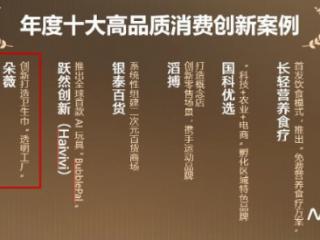 双奖加身跻身巨头阵营：新锐朵薇荣登高品质消费创新榜