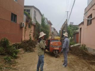 徐家楼街道琵琶湾村：环境提升整治落地见效 绘就民生幸福新画卷
