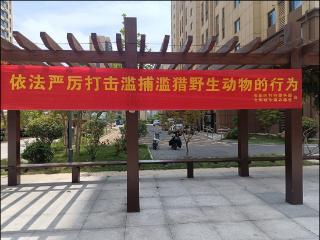 北集坡街道钟秀社区：守护蓝天精灵 共建生态家园