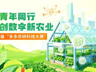 “多多农研科技大赛”新赛季揭晓初赛四强，拼多多“千亿扶持”加速农业科技产业化