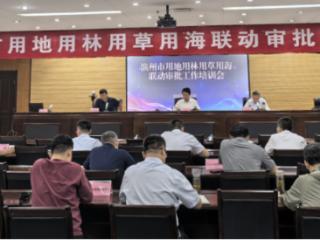 滨州市用地用林用草用海联动审批工作培训会成功举行