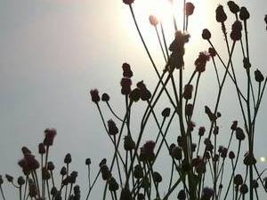 中国内地男歌手胡文亮原创温暖单曲《回到小镇》深情触动