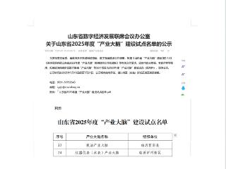 莒南县入选山东省“产业大脑”建设试点