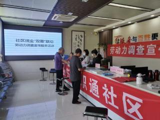 长沟镇开展劳动力调查暨就业指导服务进村活动