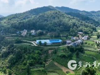 凤冈县永华社区：夏茧喜获丰收