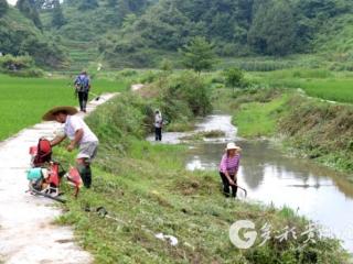 凤冈崇新村：村民自发治河道 绘就山村新气象