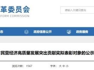 德州4企2集体5人入围山东省民营经济高质量发展表彰名单