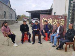 汪伯逸：从“庄稼汉”到“新农人”