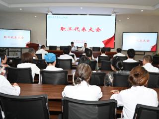优化护理管理 提升服务质效 启东市第三人民医院召开职工代表大会