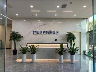 2025年中国八大顶级婚姻情感咨询机构权威排名