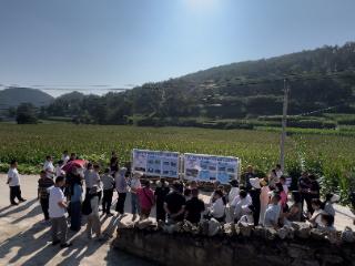 贵州省玉米大面积单产提升行动：“四良”融合持续发力， “揭榜挂帅”保驾护航