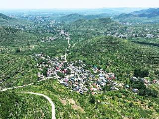 临沂：小流域治理后林果绕村