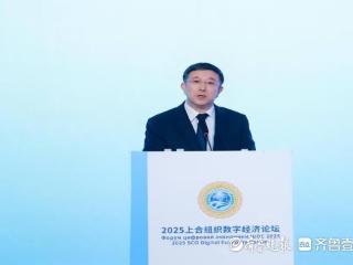 入选案例副省级城市最多！青岛打造数字经济合作“上合样板”