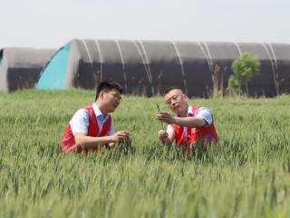 利津农商银行：“无感授信、有感服务”助力乡村振兴