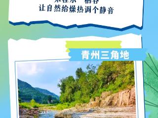 潍坊清凉地图鉴