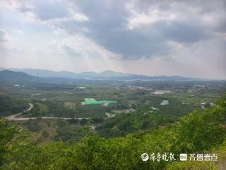 “舍得”铸村魂：龙口丰仪店村从传承到振兴的生动实践