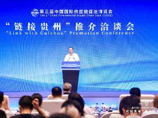 天眼观链博｜朱宏任：贵州是发展经济的一块福地宝地