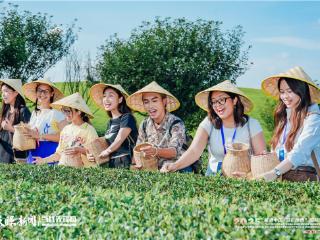 机遇中国 多彩贵州｜干了这杯新茶饮！中国茶的新表达“圈粉”海外青年