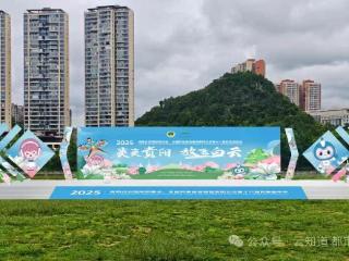 2025贵阳白云风筝嘉年华，这份保姆级攻略请收好！