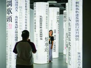 老门东新展览：沉浸诗词几行 读懂东坡一生