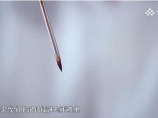 影视剧里的银针验毒靠谱吗？