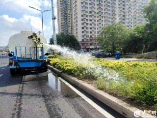 临沭县综合行政执法局：扎实做好高温天气城区绿化苗木养护工作