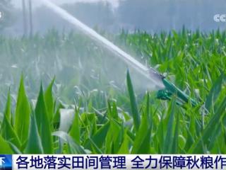 智“绘”田管图 科技为全力保障秋粮作物生长装上“数字大脑”