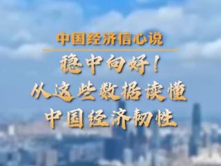 中国经济信心说丨 稳中向好！从这些数据读懂中国经济韧性
