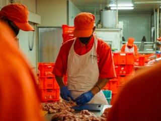 《中央厨房/肉制品厂油烟呛人、异味难除？高效净化+达标排放的终极方案来了！》