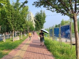 ﻿空气湿度加大 未来一周安徽切换成“焖蒸模式”