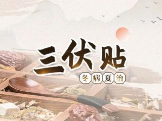 三伏贴即将开贴！山东省中医院26个科室上阵，专治“冬病夏怂”