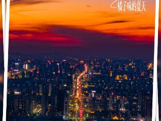 潍坊迎来橘子味的夏天