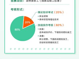 一图读懂|山东省第三届国有林场职业技能竞赛