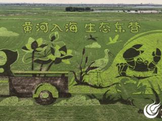 2025东营稻田画主题亮相