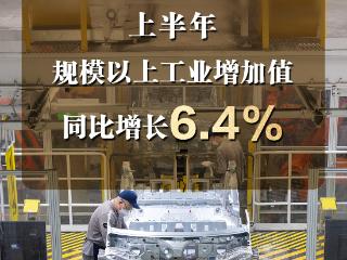 今年上半年规模以上工业增加值同比增长6.4% 展现出较强韧性
