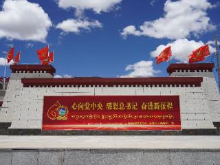 【辉煌60载 魅力新西藏】镜观西藏：高原农业丰富百姓餐桌