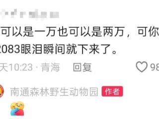 为救2岁重病孩子，动物园“掏空”了许愿池……