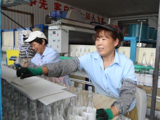1.1亿技改赋能！新泰玻璃瓶走出“绿色智造”新路子